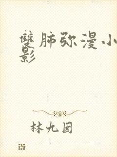 双肺弥漫小结节影