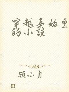 穿越秦始皇儿子的小说封面