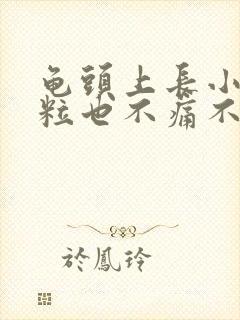 龟头上长小肉颗粒也不痛不痒