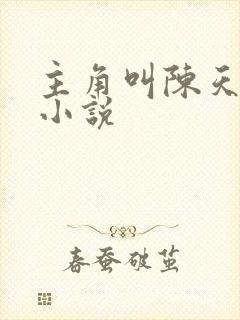 主角叫陈天明的小说封面