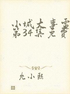 小城大事电视剧第34集免费观看