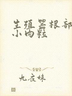 生殖器根部起了小肉粒