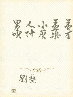 男人小弟弟不硬吃什么药才行