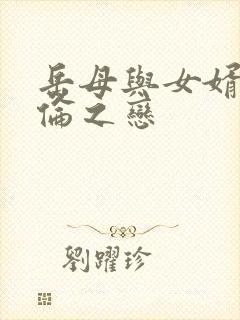 岳母与女婿的不伦之恋封面