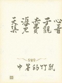 天涯赤子心第1集免费观看