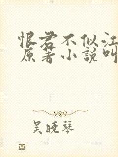 恨君不似江楼月原著小说叫什么