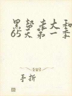 黑帮老大和我365天第一季