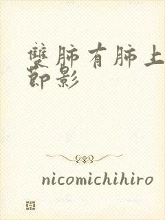 双肺有肺上小结节影