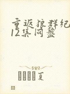 重返狼群纪录片12集网盘