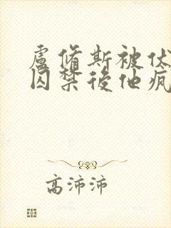 卢修斯被伏地魔囚禁后他疯了小说封面