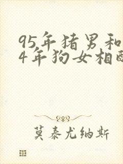 95年猪男和94年狗女相配吗婚姻