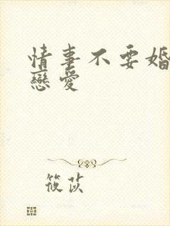 情事不要婚姻要恋爱封面