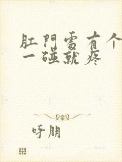 肛门处有个肉球一碰就疼