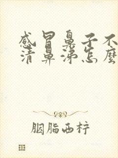 感冒鼻子不通流清鼻涕怎么办