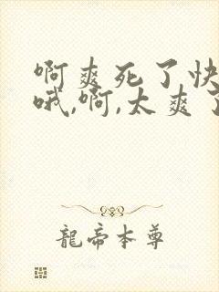 啊爽死了快点操哦,啊,太爽了封面