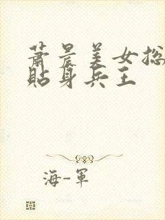 萧晨美女总裁的贴身兵王