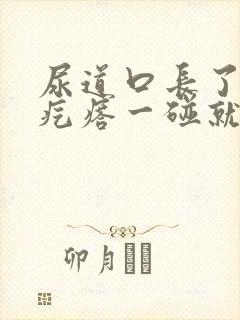 尿道口长了个肉疙瘩一碰就疼封面