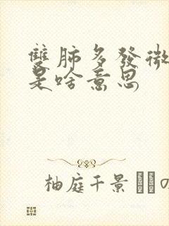 双肺多发微结节是啥意思