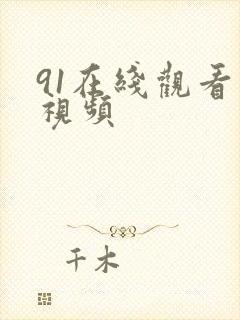 91在线观看 视频