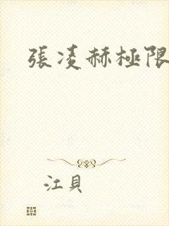 张凌赫极限挑战