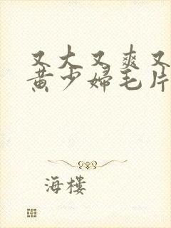 又大又爽又粗又黄少妇毛片封面