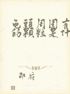 龟头周围有白色的颗粒是什么