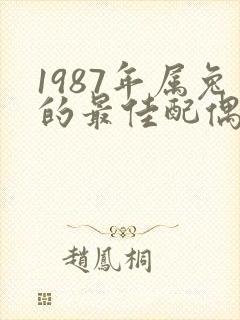1987年属兔的最佳配偶属相