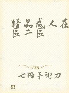 精品成人在线一区二区