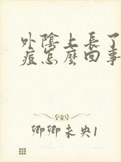 外阴上长了个痘痘怎么回事