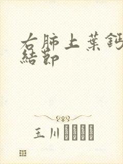 右肺上叶钙化微结节