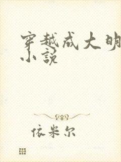 穿越成大明崇祯小说