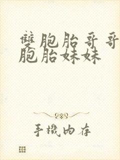 双胞胎哥哥和双胞胎妹妹