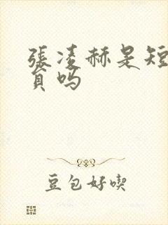 张凌赫是短剧演员吗