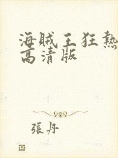 海贼王狂热行动高清版封面