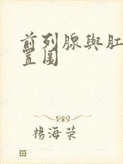 前列腺与肛门位置图