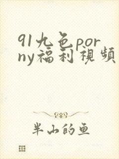 91九色porny福利视频