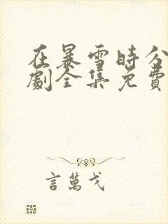 在暴雪时分电视剧全集免费观看高清