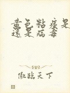 黄色粘痰是细菌还是病毒