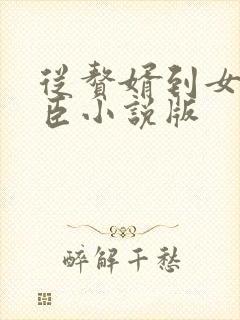 从赘婿到女帝宠臣小说版