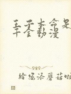 王子本命是恶役千金动漫