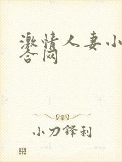 激情人妻小说综合网