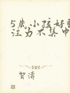 5岁小孩好动专注力不集中