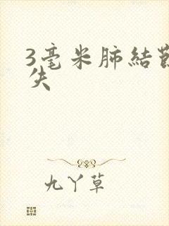 3毫米肺结节消失封面