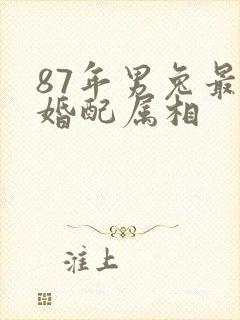87年男兔最佳婚配属相封面