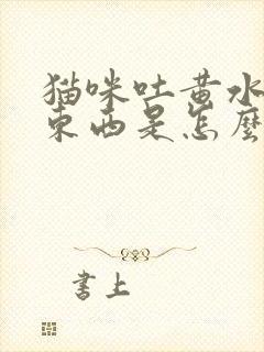 猫咪吐黄水不吃东西是怎么回事封面