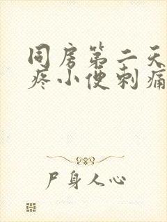 同房第二天小腹疼小便刺痛封面