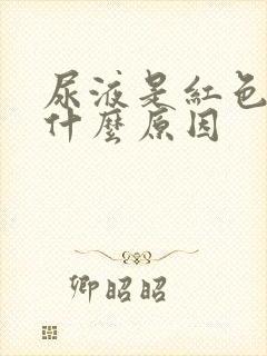 尿液是红色的是什么原因