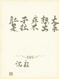 肚子疼想大便但是拉不出来是什么原因