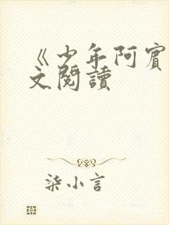 《少年阿宾》全文阅读