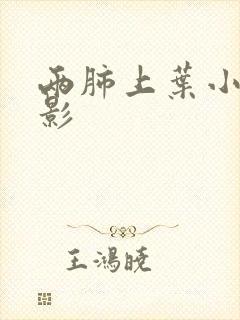 两肺上叶小结节影封面